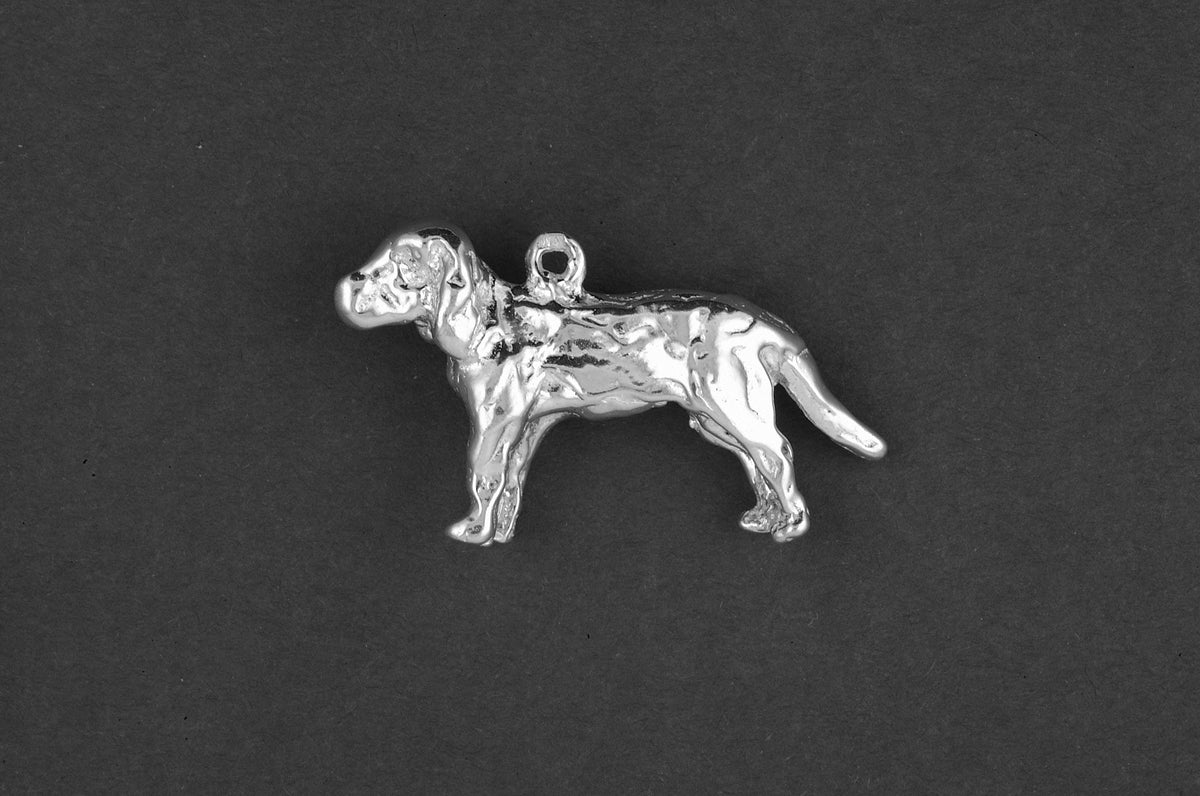 Bloedhond - Zilver