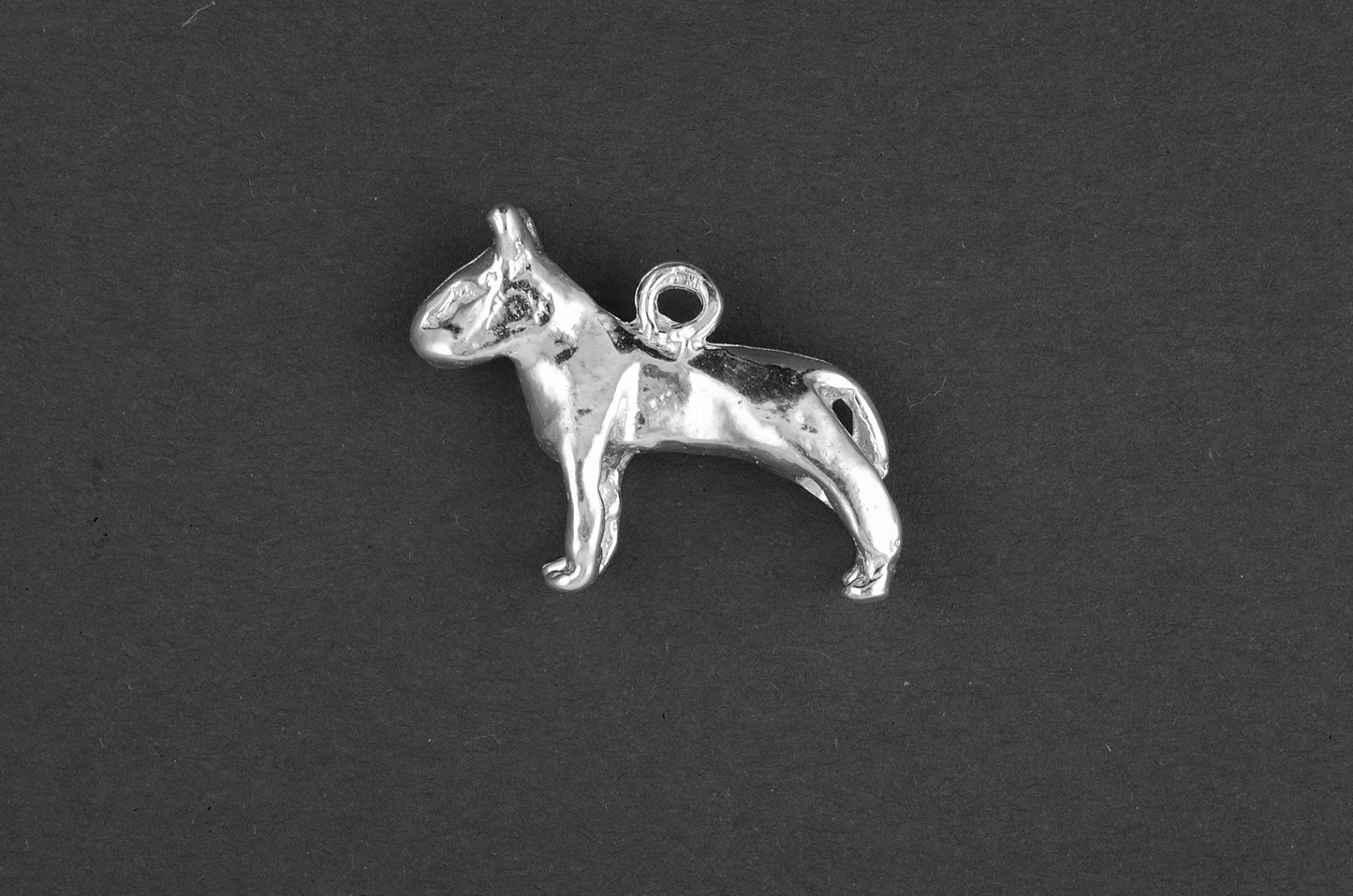 Bull terrier - Goud