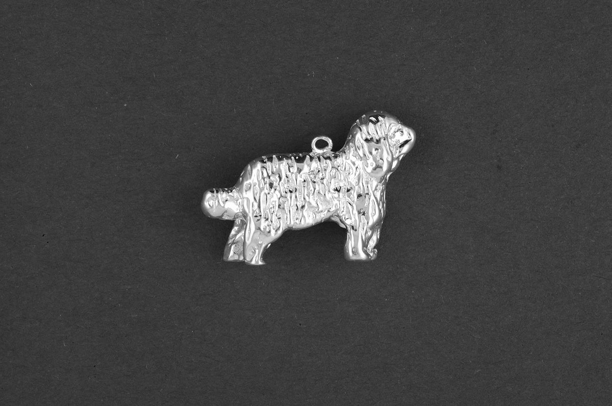Collie bearded - Goud