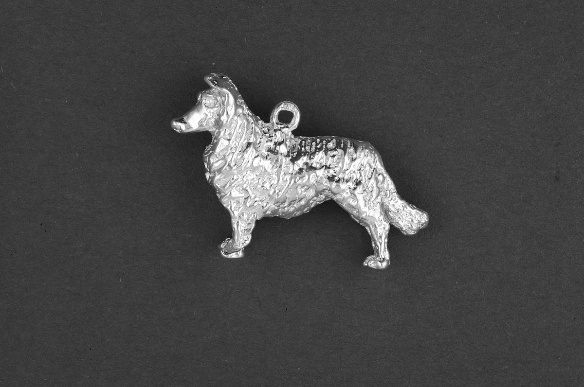 Collie langhaar - Goud