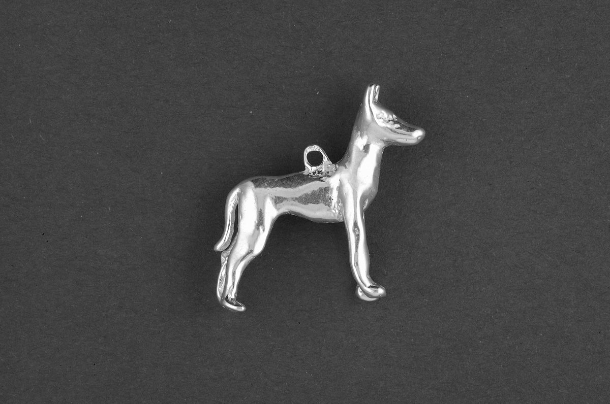 Farao hond - Goud