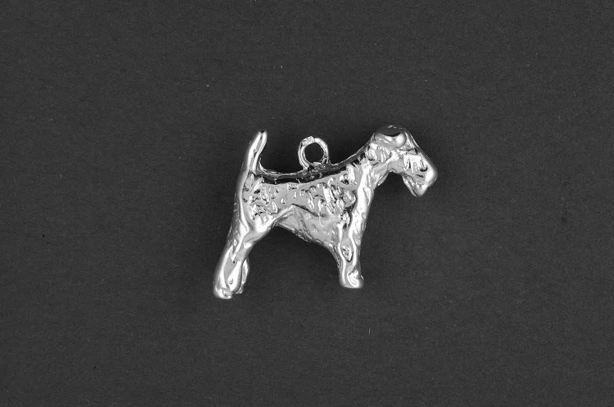 Fox terrier ruwhaar - Goud