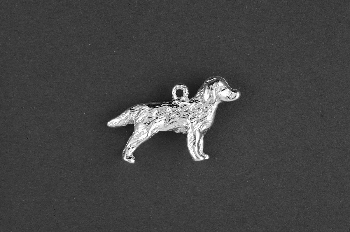 Golden retriever - Goud