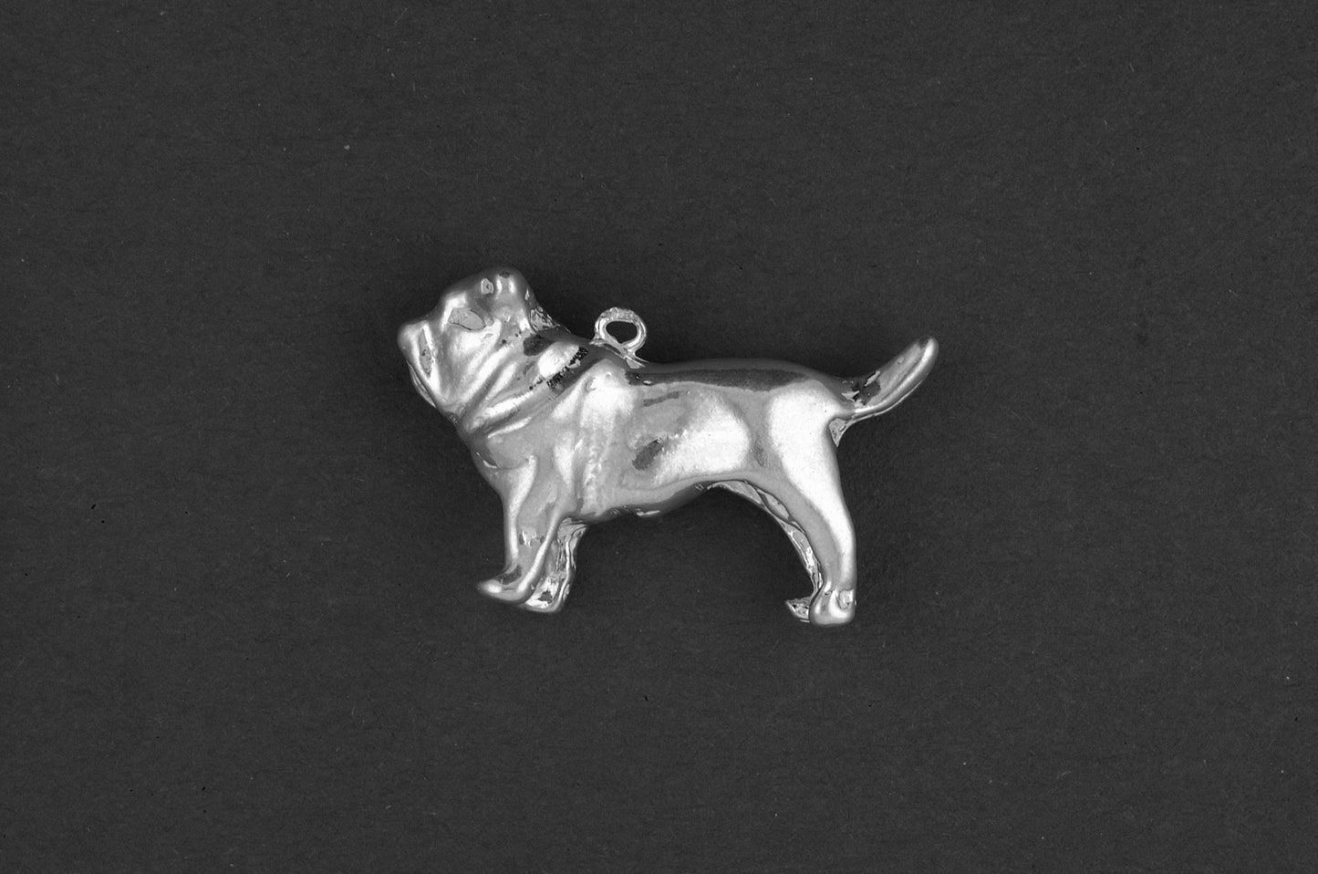 Mastino Napolitano - Goud
