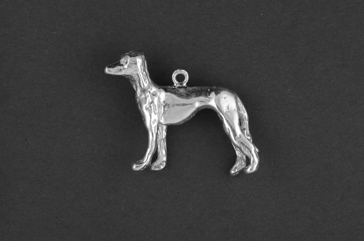 Saluki - Goud