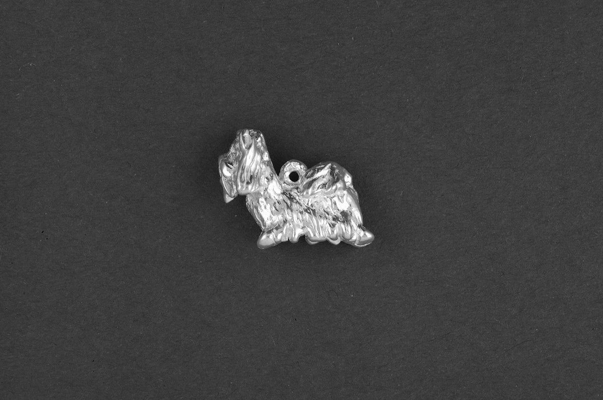 Shih tzu - Goud