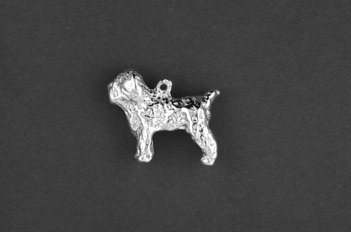 Soft coated white terrier - Goud