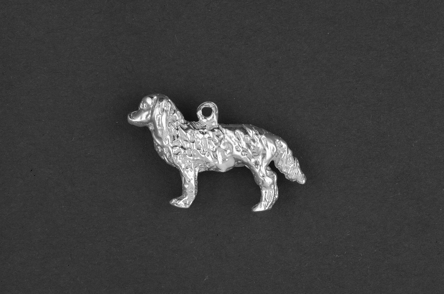 Spaniel cocker king charles - Goud