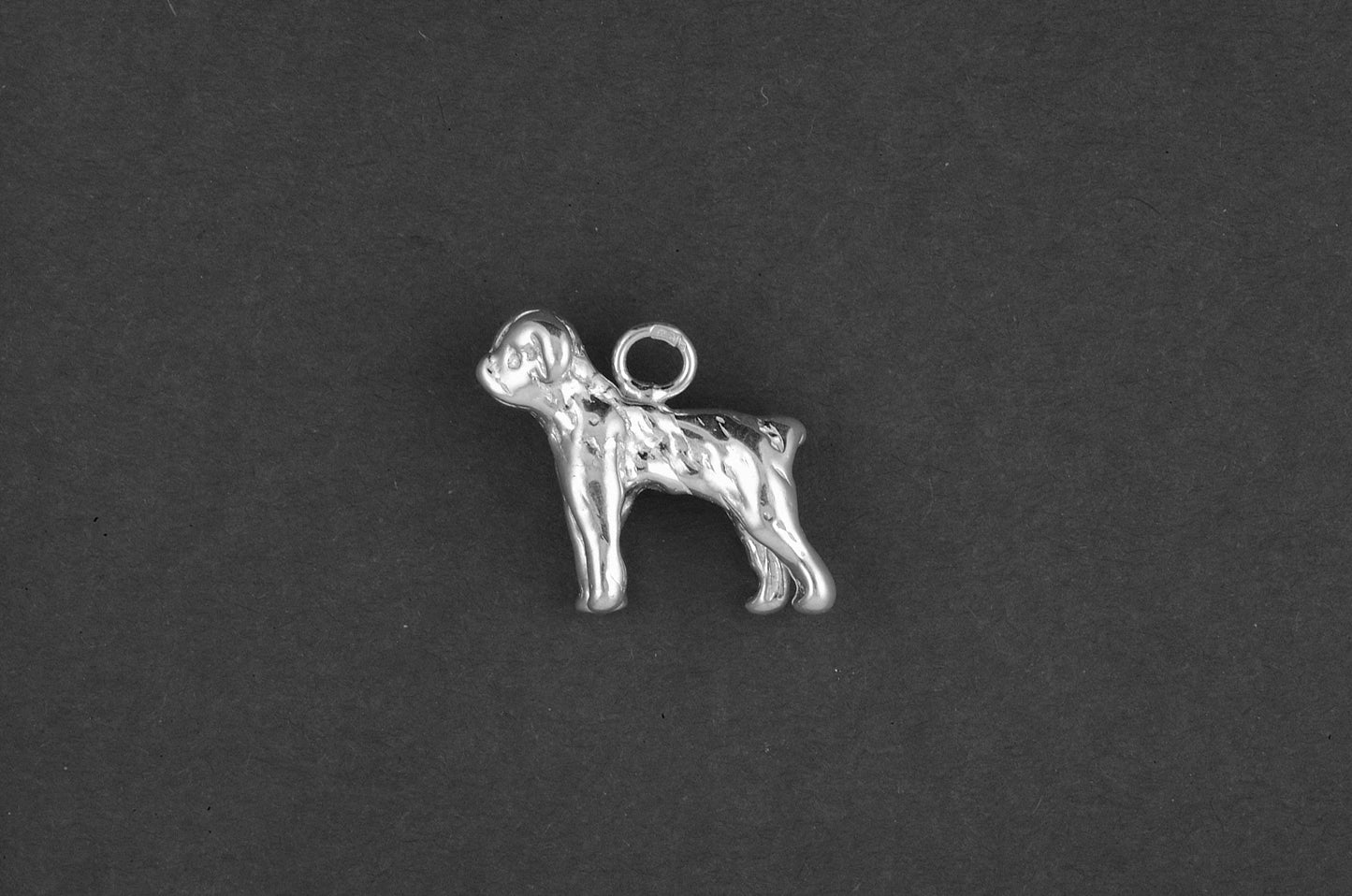 Petit brabancon - Goud