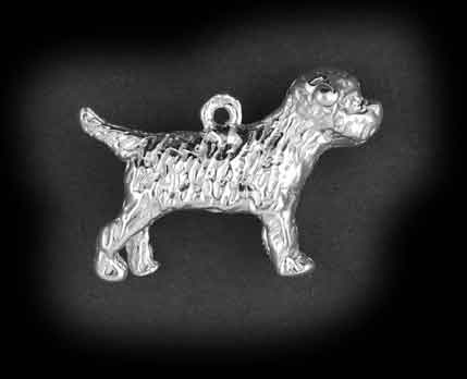 Border terrier - Goud