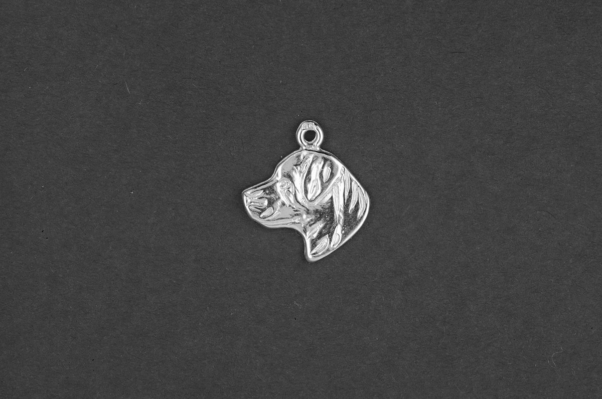 Rottweiler kop - Goud