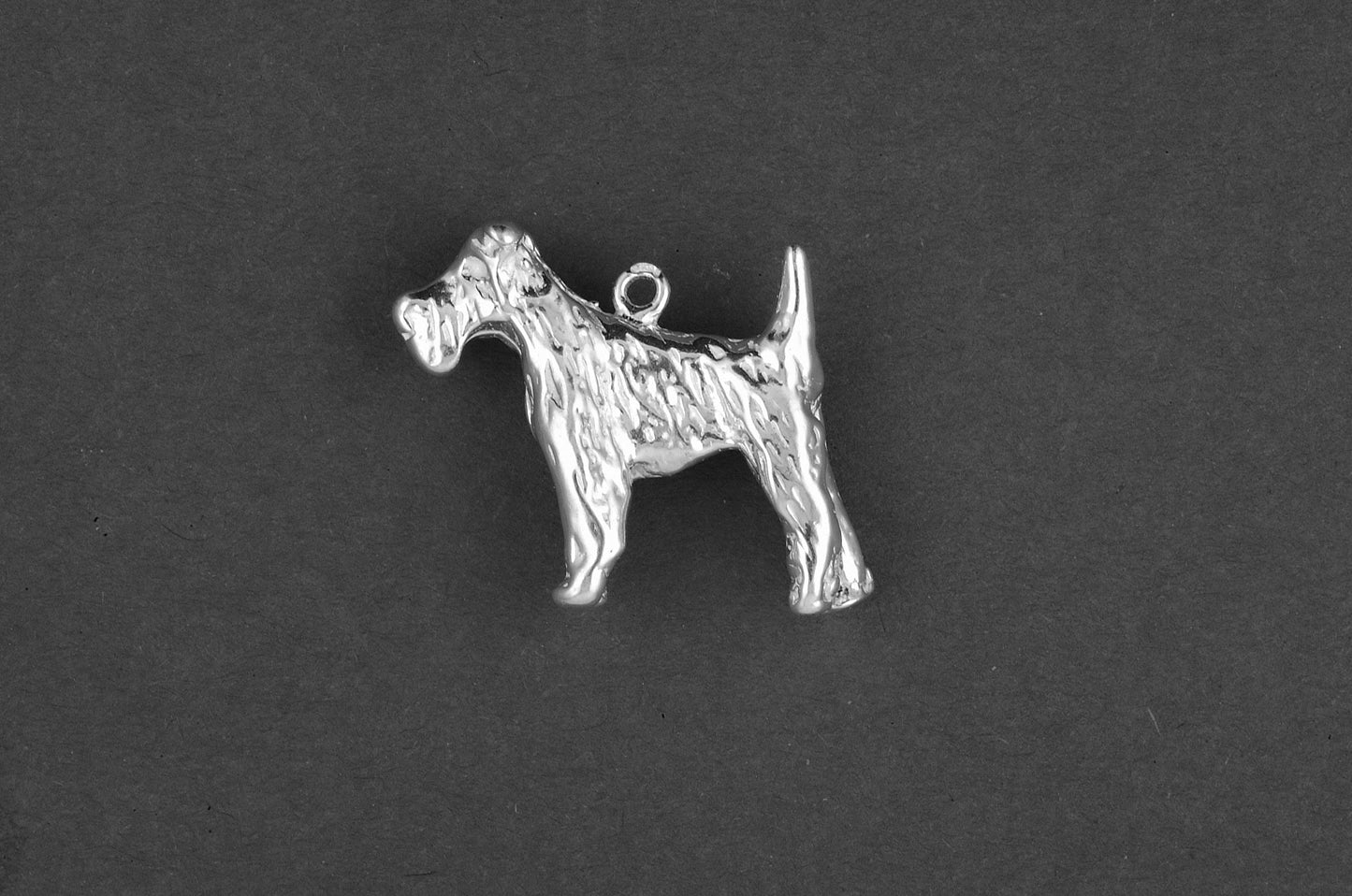 Airedaile terrier - Zilver