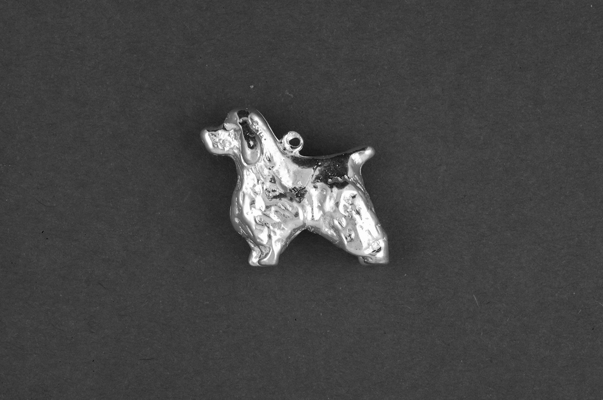 Cocker spaniel - Goud