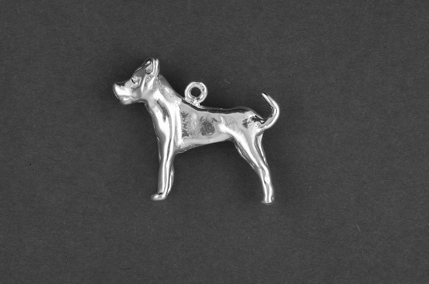 Argentijnse Dog - Goud