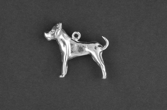 Argentijnse Dog - Goud