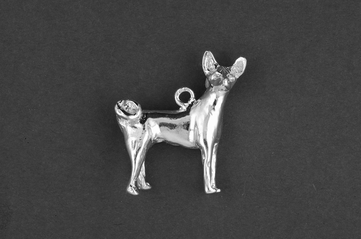 Basenji - Goud