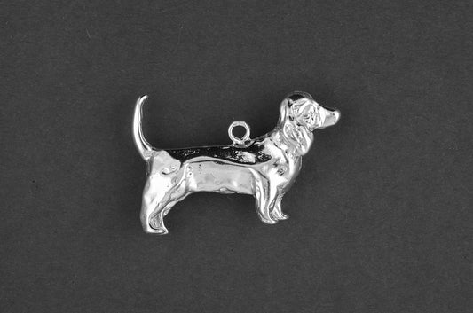Basset hound - Goud