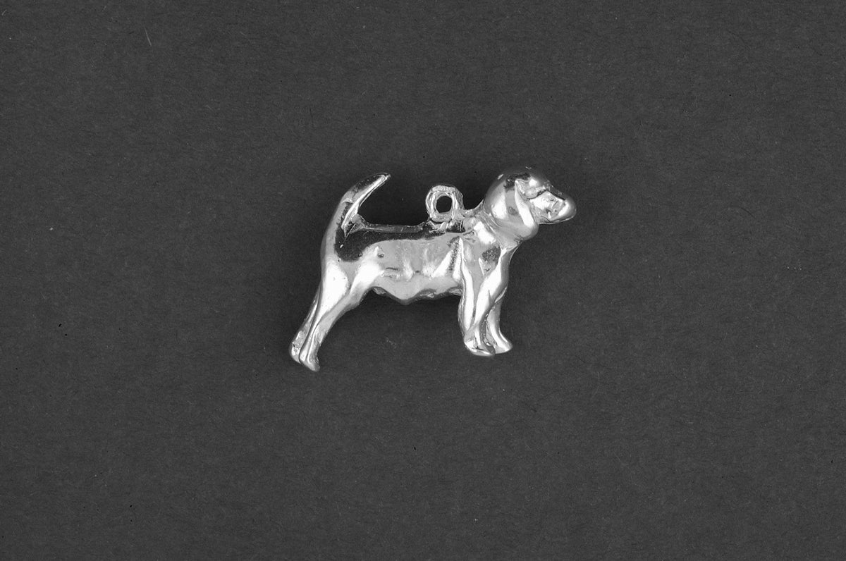 Beagle - Goud