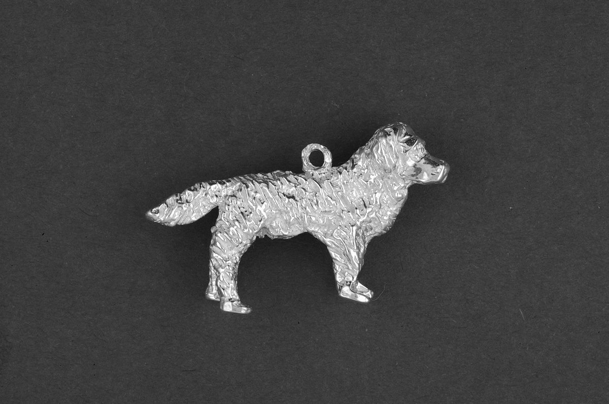 Berner Sennenhond - Goud
