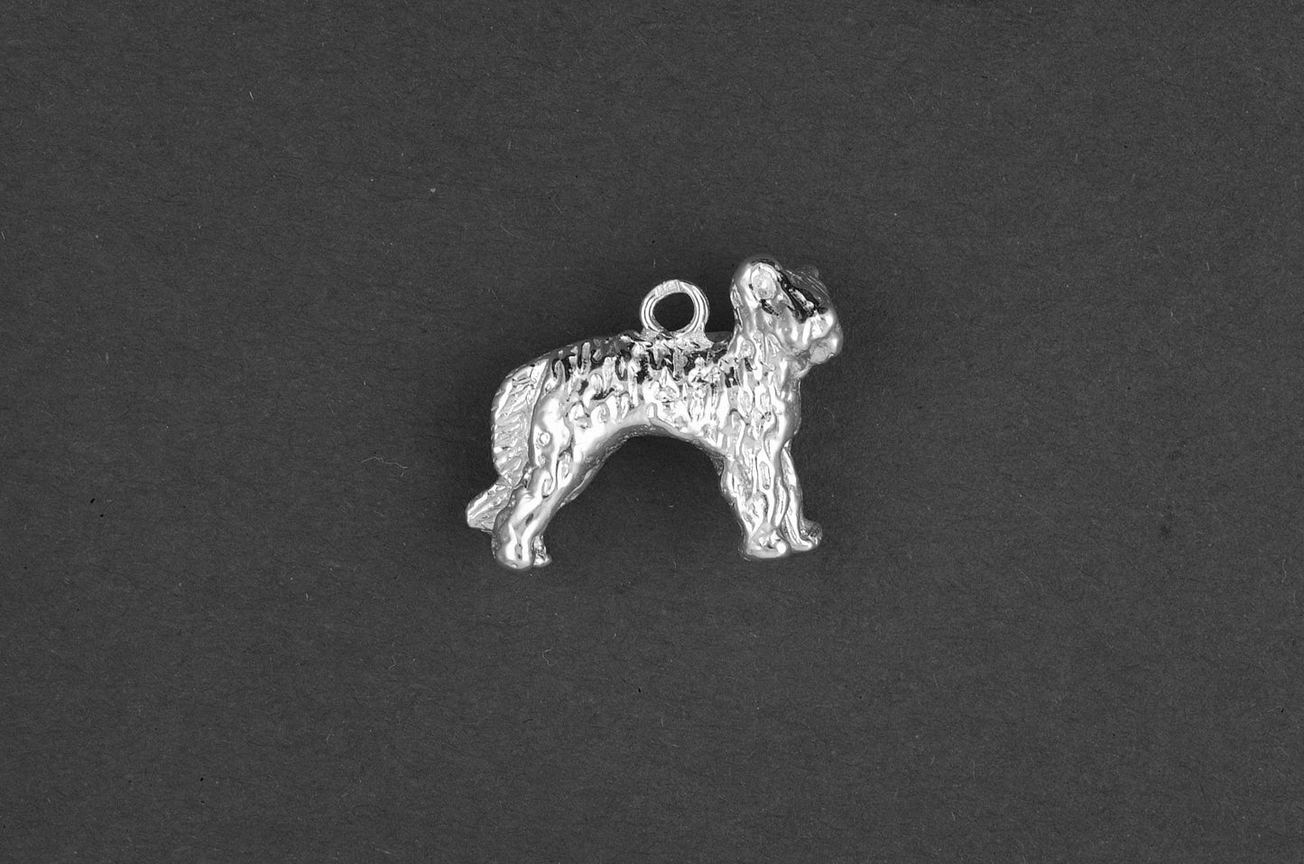 Briard - Goud