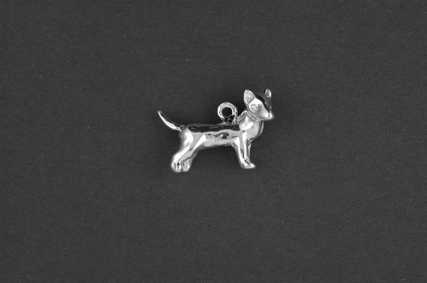 Bull terrier dwerg - Goud