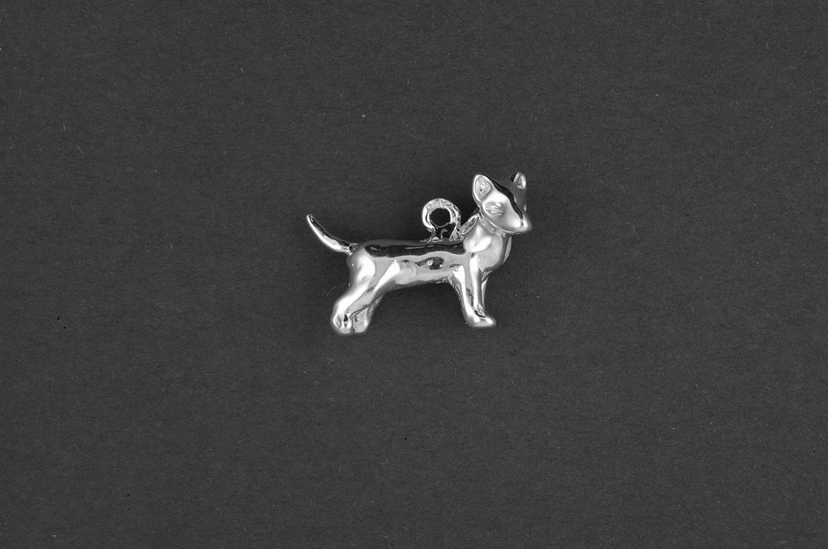 Bull terrier dwerg - Goud