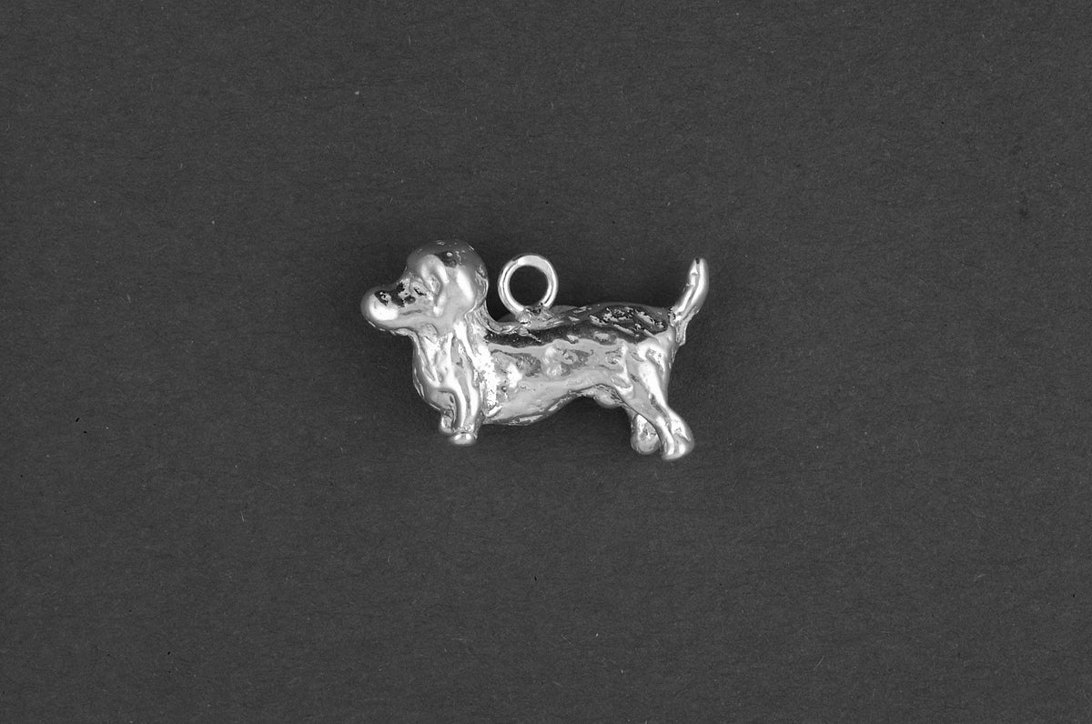 Dandie dinmont terrier - Goud