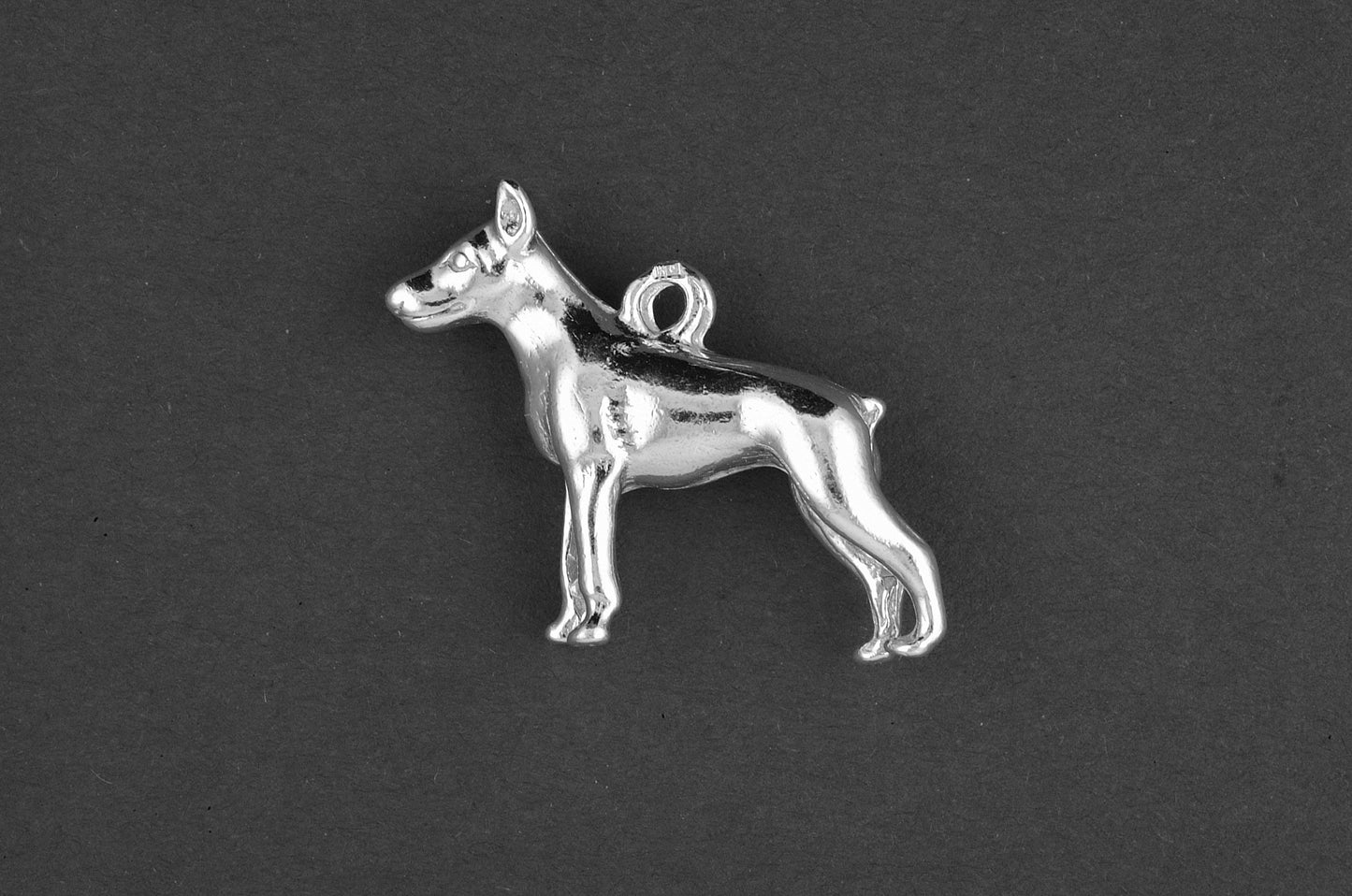 Doberman - Goud