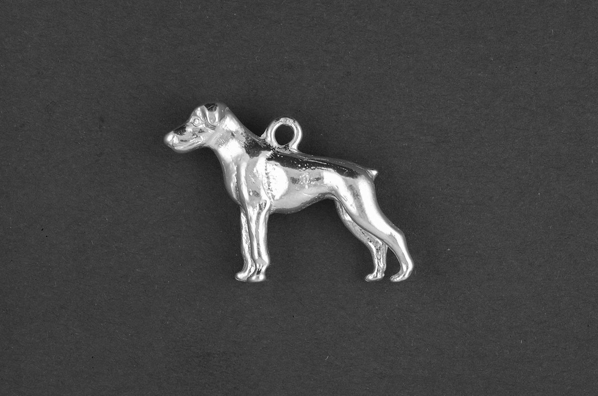 Doberman ongecoupeerd - Goud