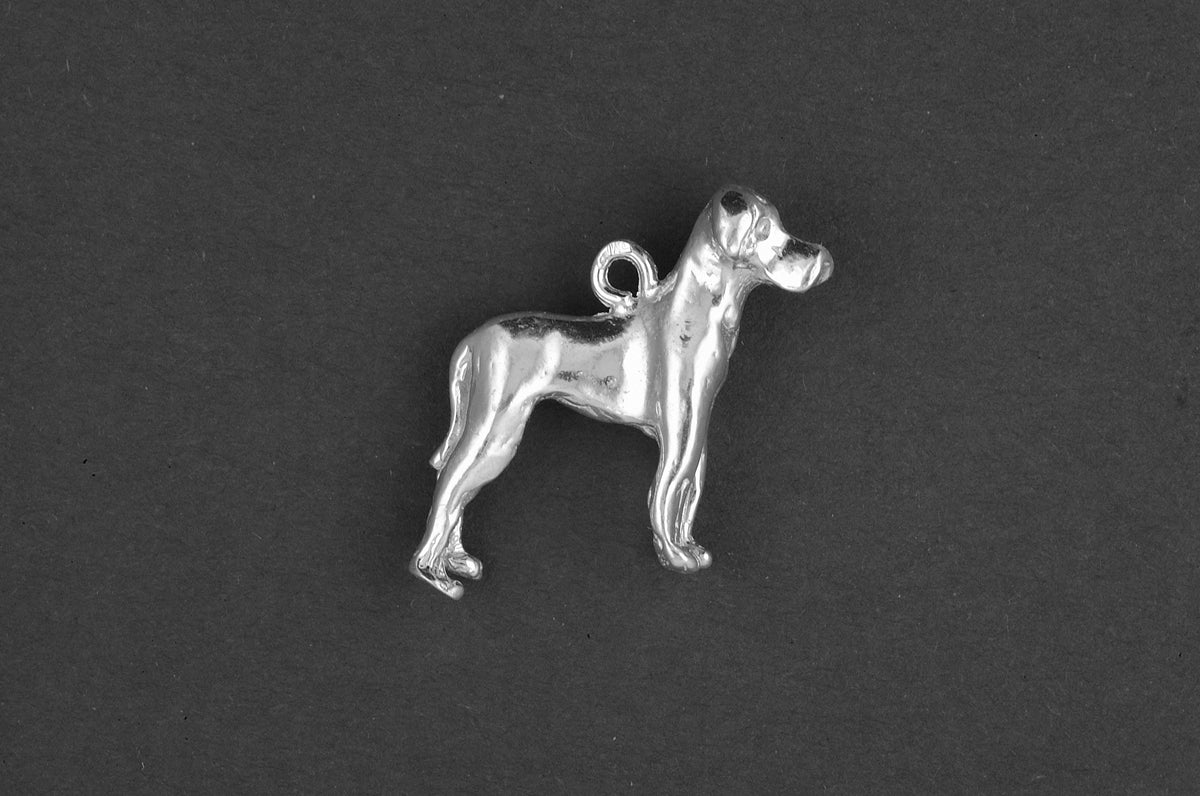 Duitse dog ongecoupeerd - Goud