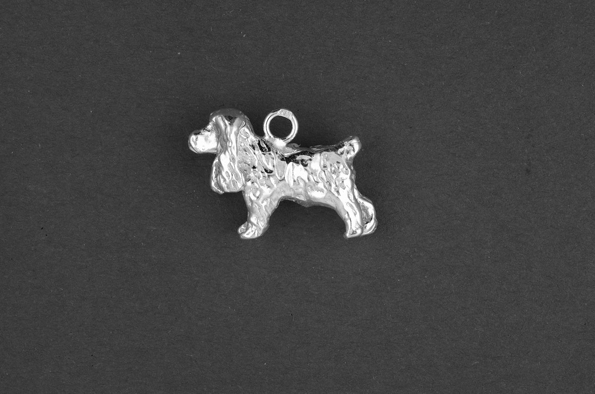Engelse cocker spaniel - Goud