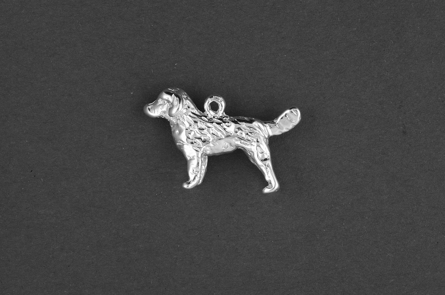 Flat coated retriever - Goud