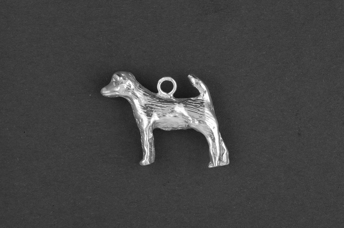 Fox terrier glad - Goud