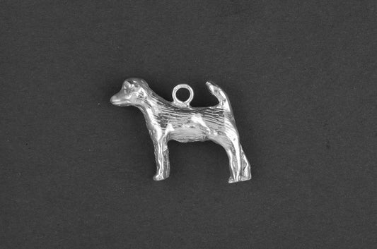 Fox terrier glad - Goud