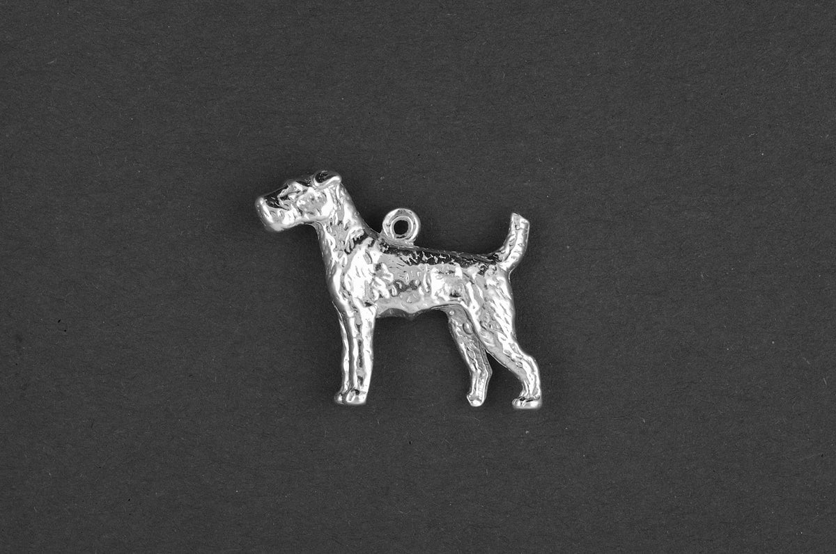 Ierse terrier - Goud