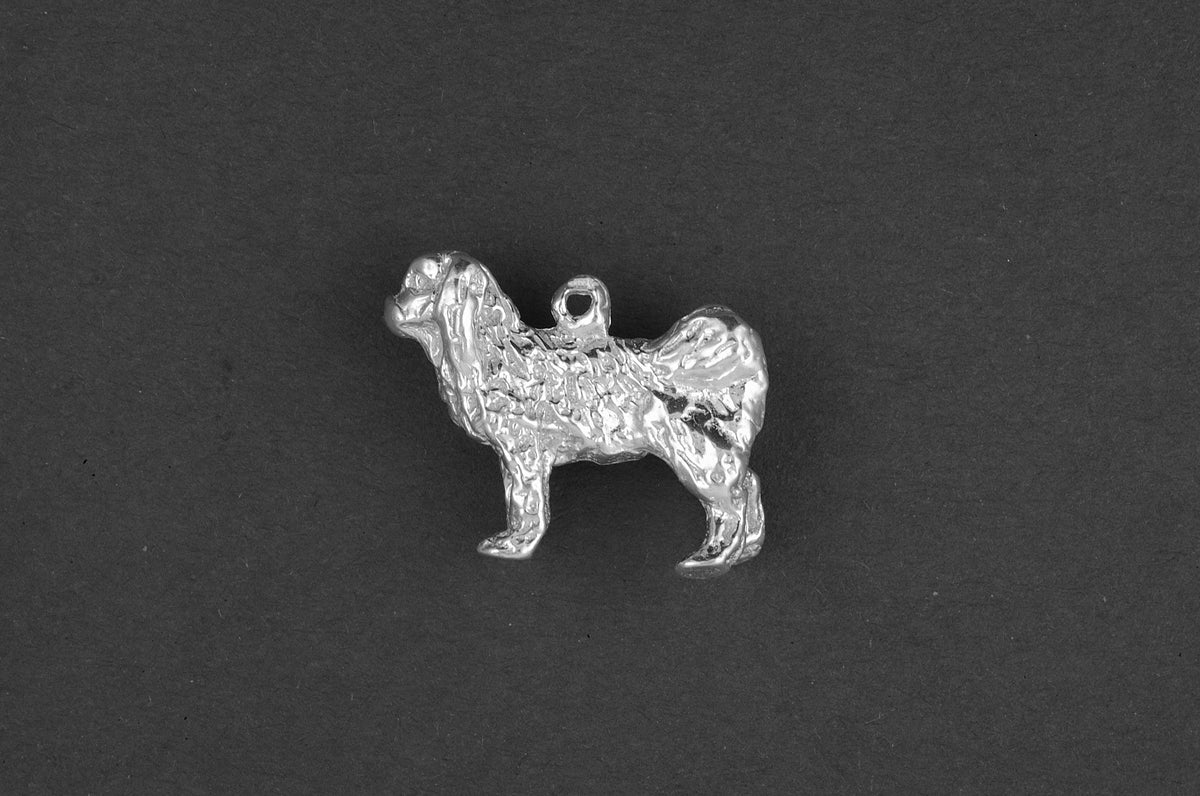 Japanse spaniel - Goud