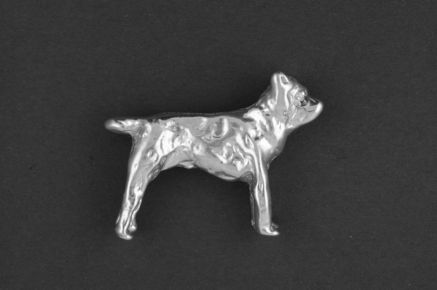 Mastino napoletano - Goud