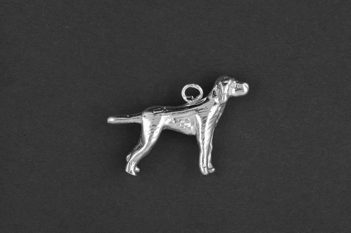 Pointer - Goud