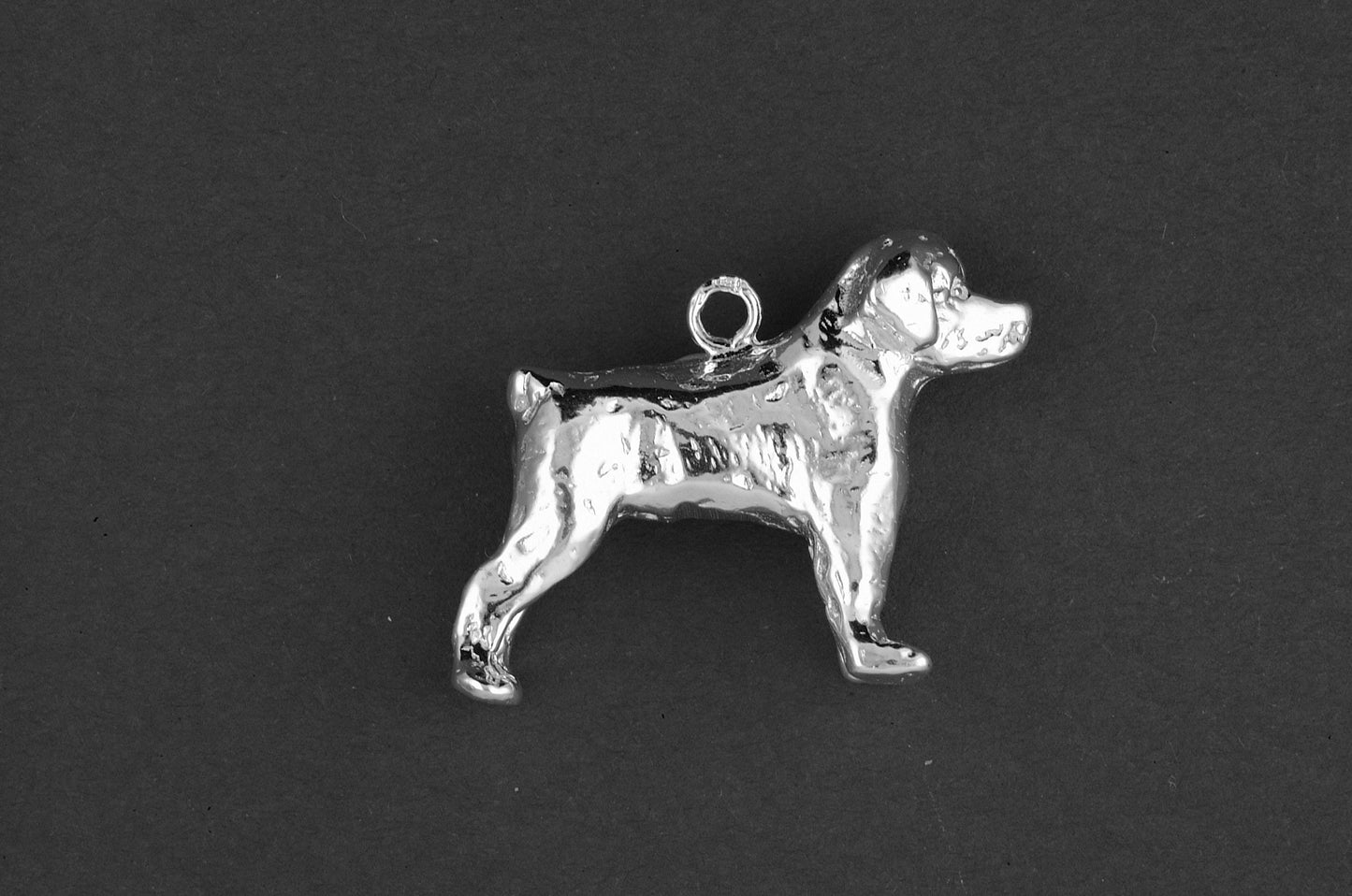 Rottweiler groot - Goud