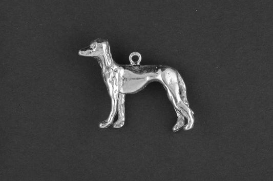 Saluki - Goud