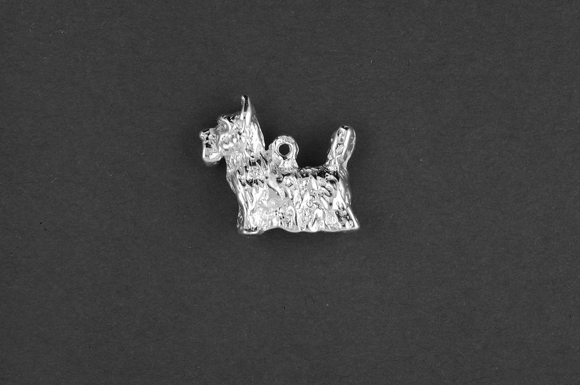 Schotse terrier - Goud