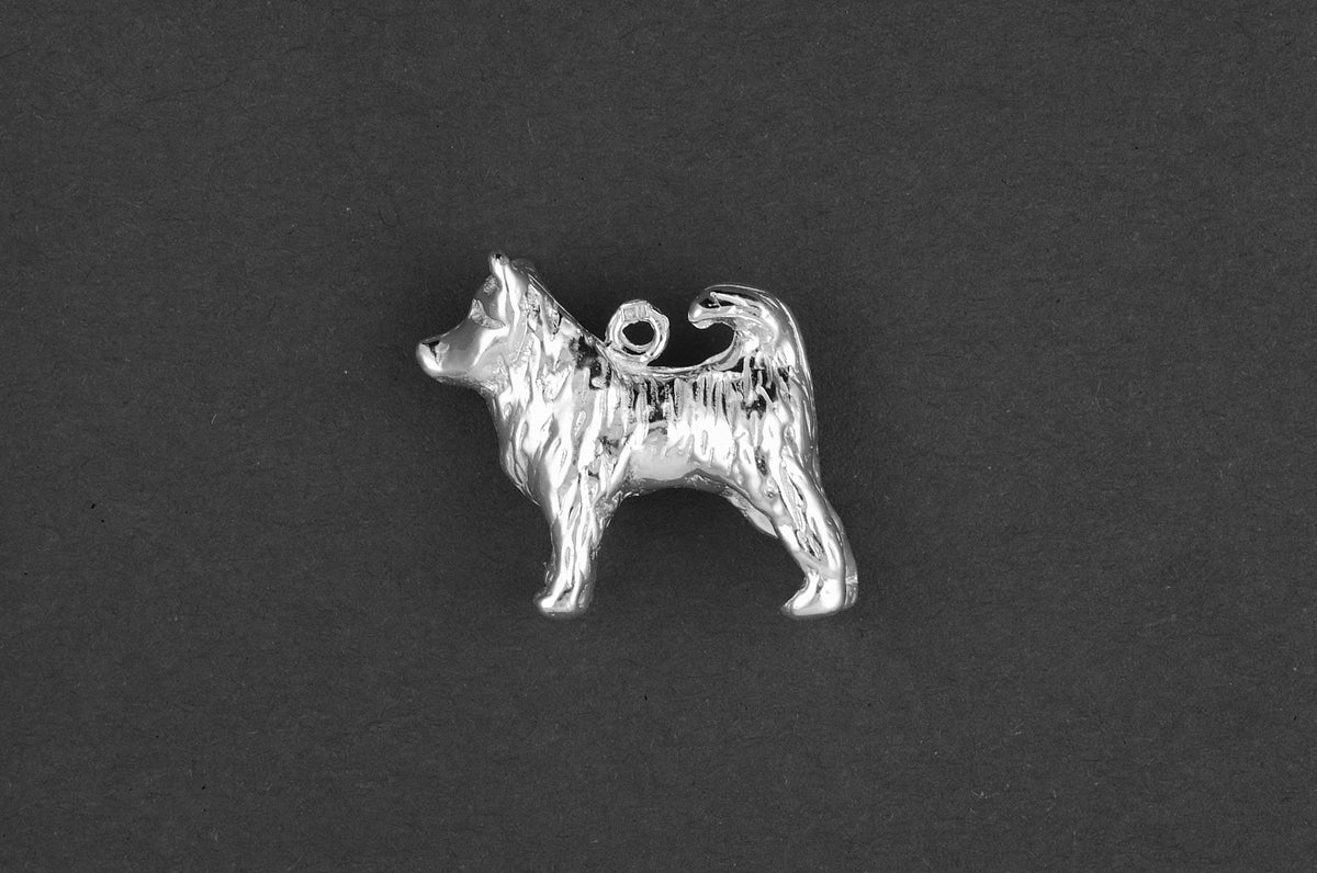 Siberische husky - Goud
