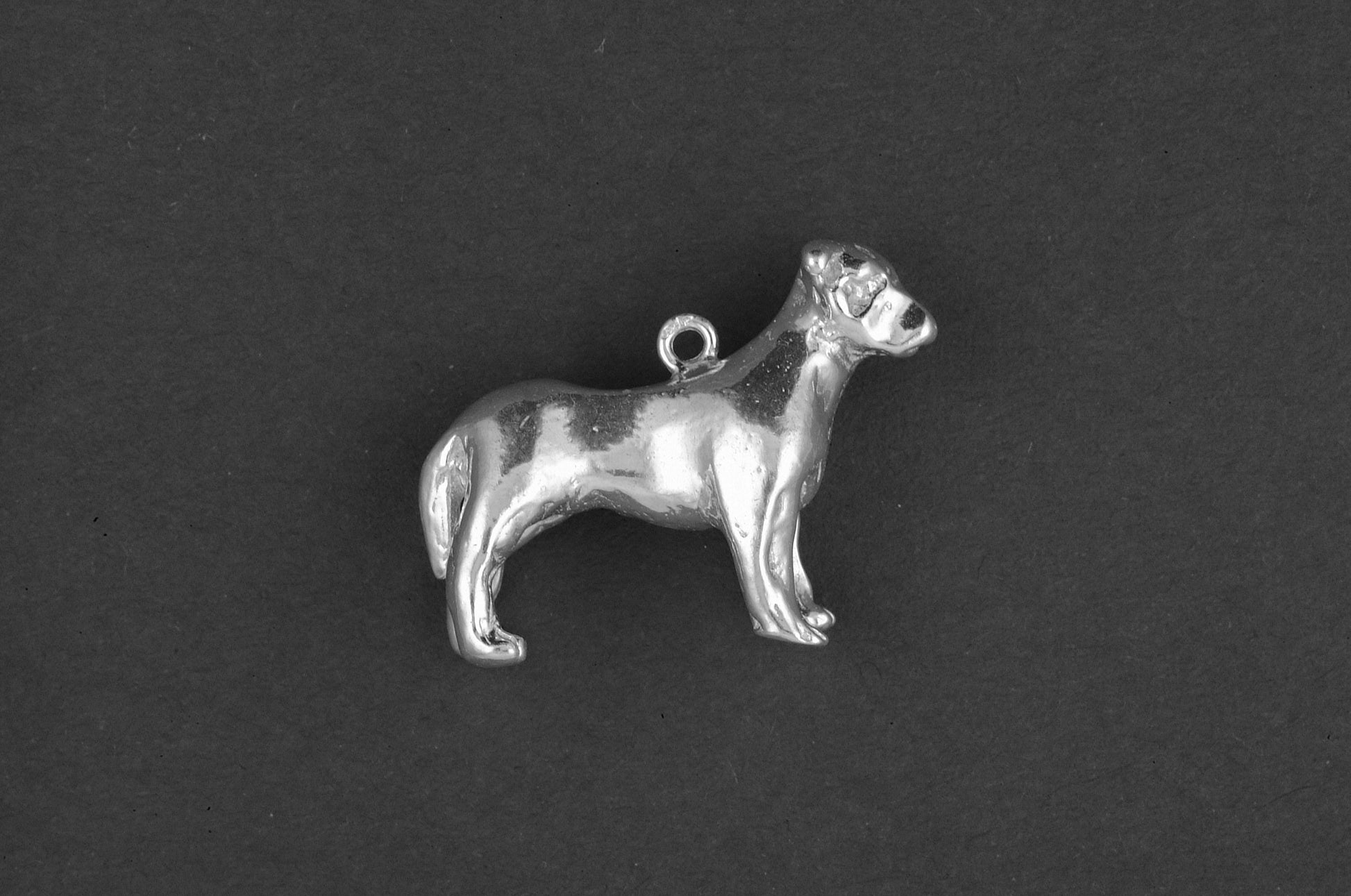 Staffordshire-bulterriër - Goud