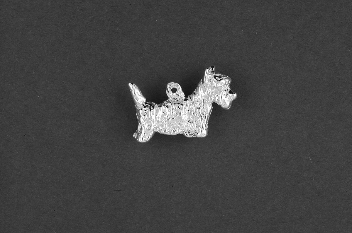 West highland terrier - Goud