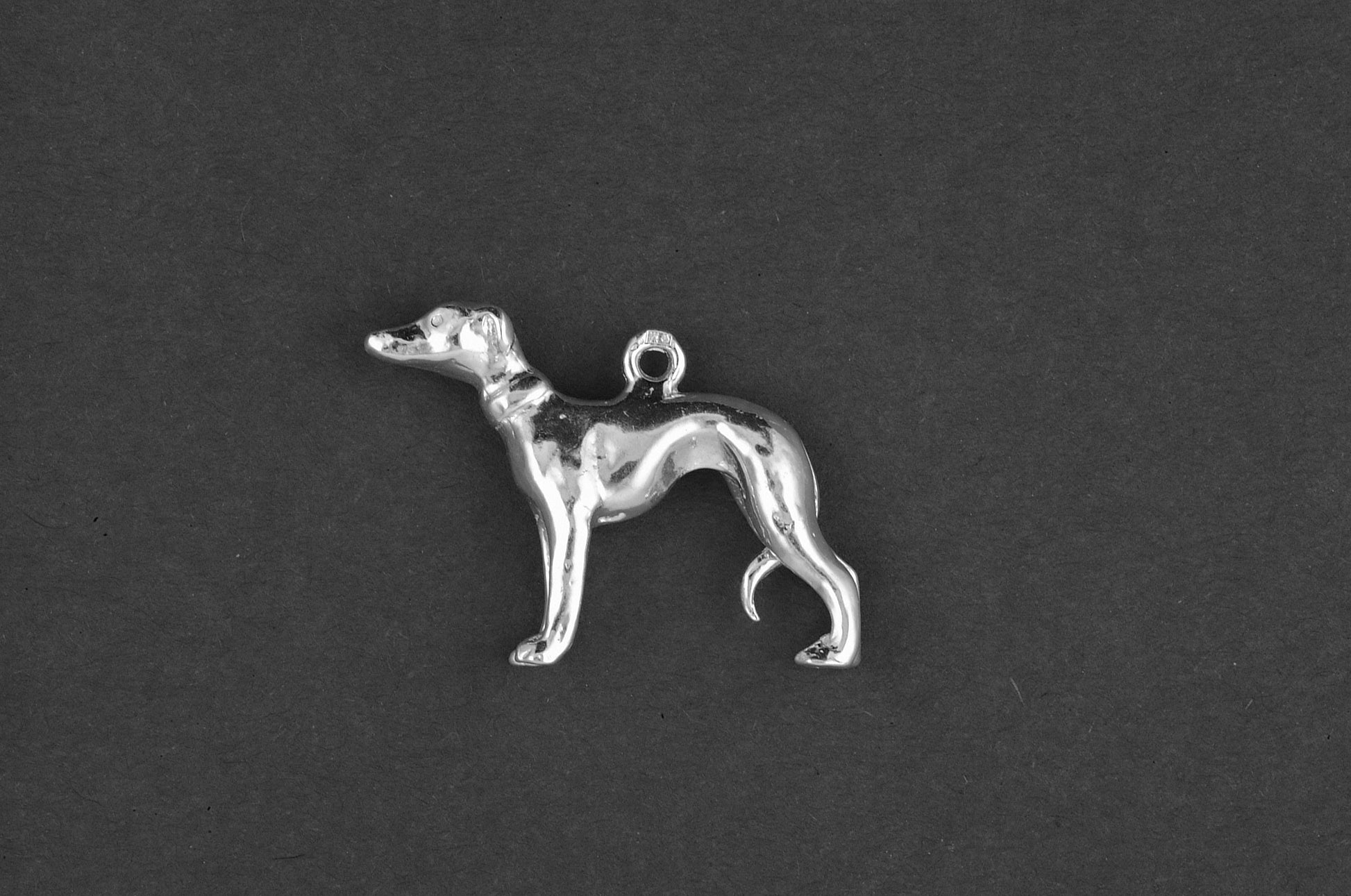 Whippet - Goud