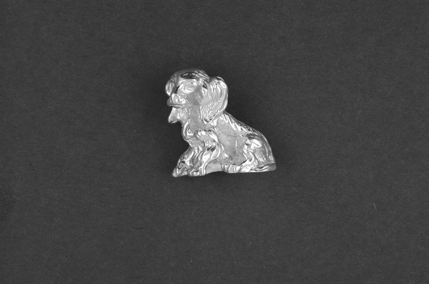 Cocker spaniel pup - Goud