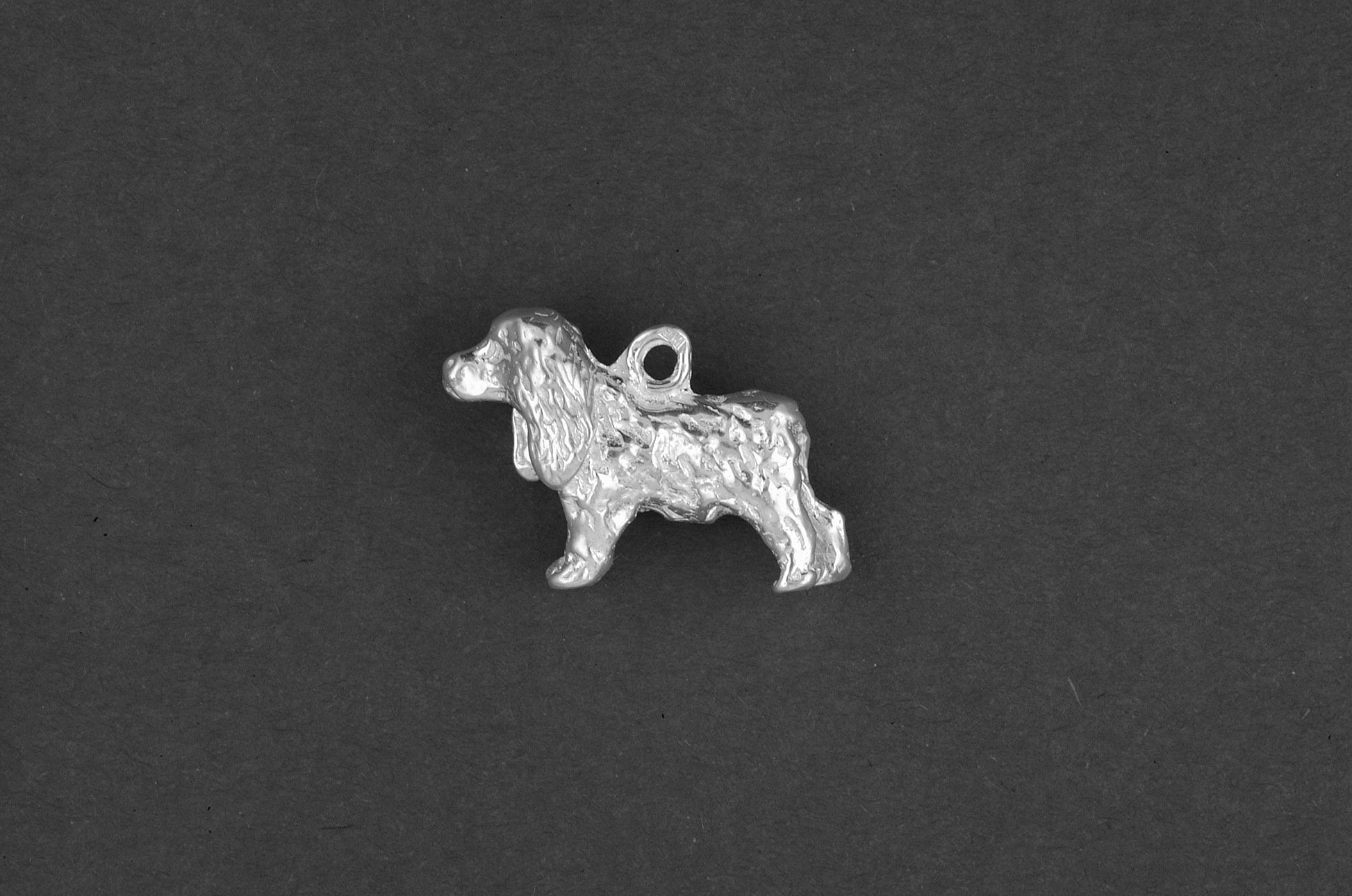 Field spaniel - Goud