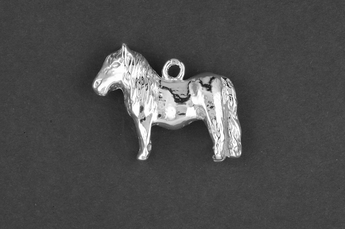 Shetland pony paard - Goud