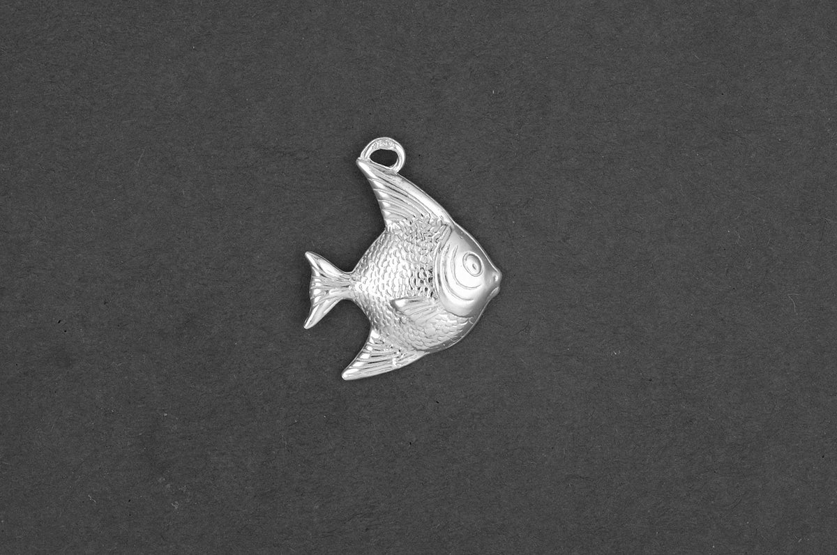 Goudvis - Zilver