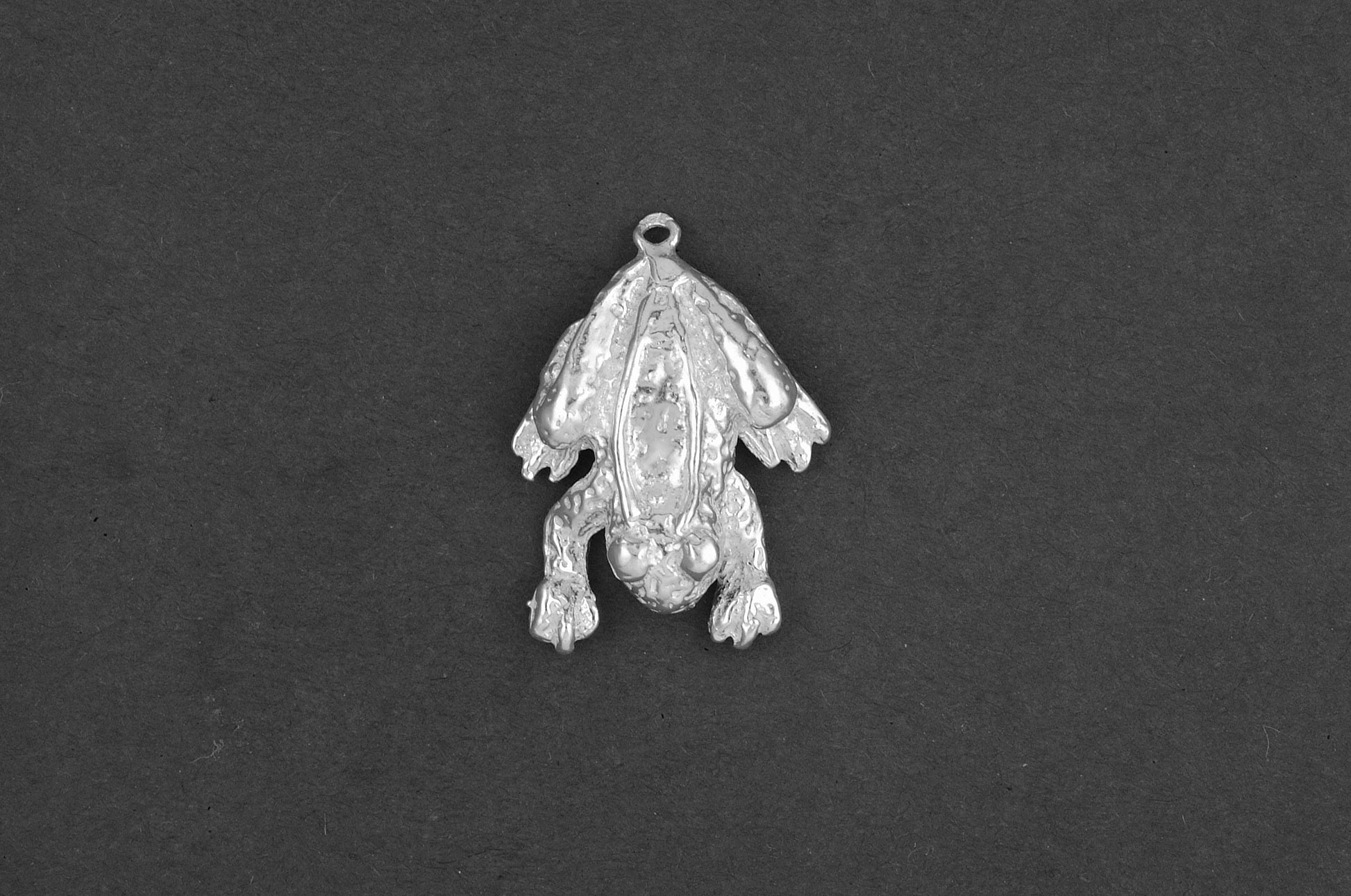 Kikker groot - Goud